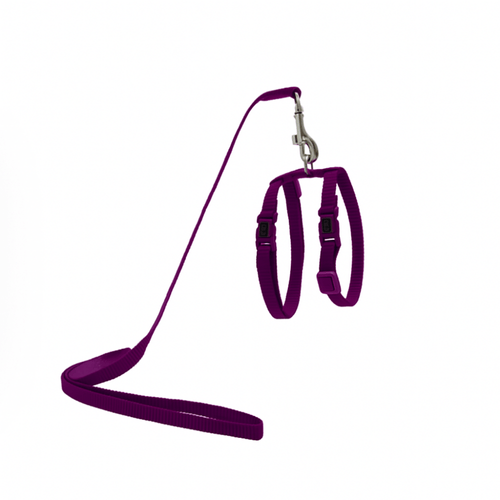 Arnes y correa Talla S sólido