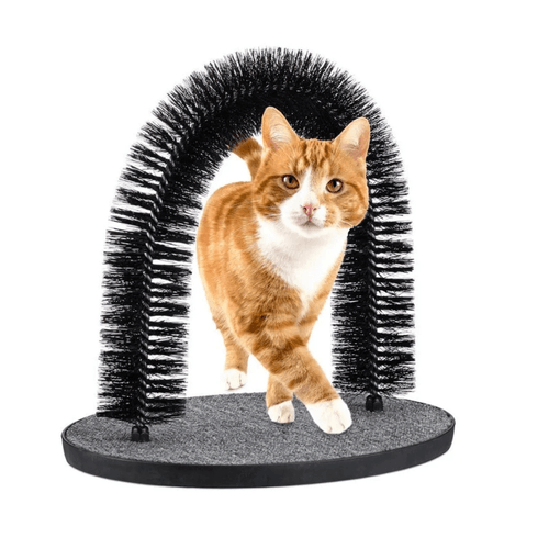 Rascador en forma de arco