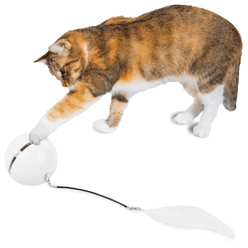 Bola laser para gatos