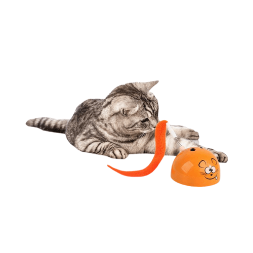 Ratón naranja con rodos