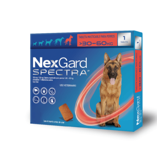 Nexgard amplio espectro 30.1 - 60 KG