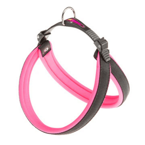 Arnes fluo 5 rosa
