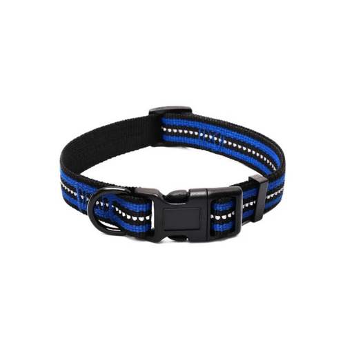 Collar reflectivo azul s