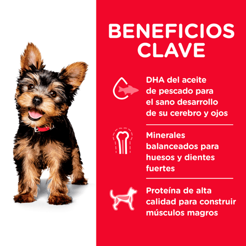 Alimento para cachorro raza mini 4.5 lb