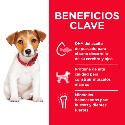 Alimento para cachorro raza pequeña 12.5 lb