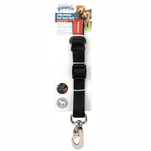 Cinturon de seguridad