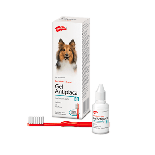 Gel antiplaca