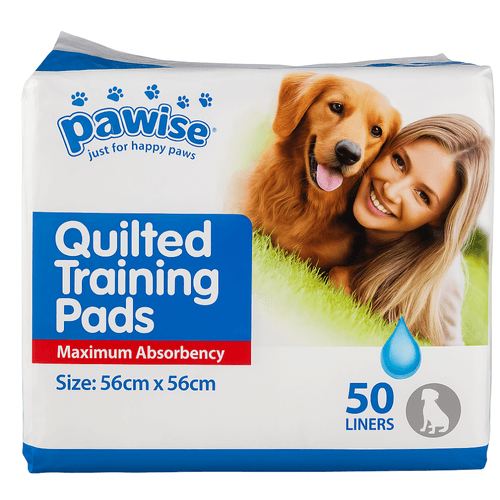 Carpeta de entrenamiento 50u