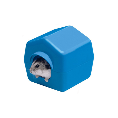 Casa surtida para hámster