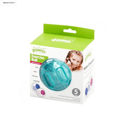 Bola surtida de ejercicio s