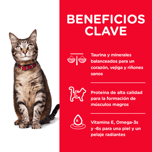 Alimento para gato adulto 7 lb
