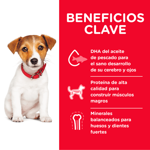 Alimento para cachorro raza pequeña 4.5lb