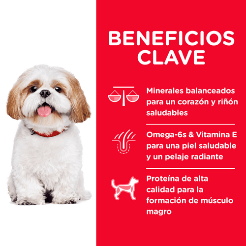 Alimento senior raza pequeña 15lb