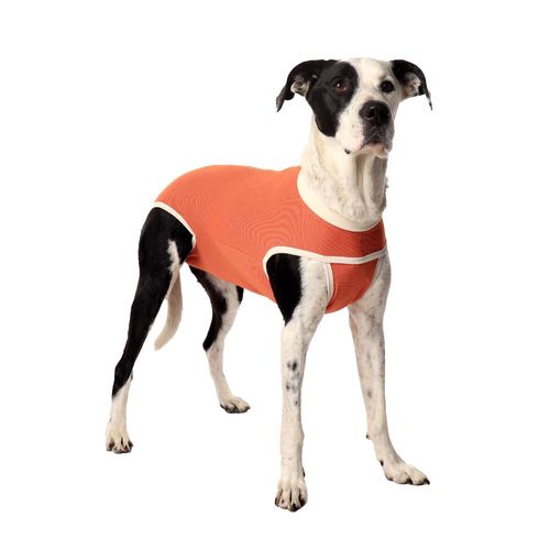 Body tradicional 9-13LB