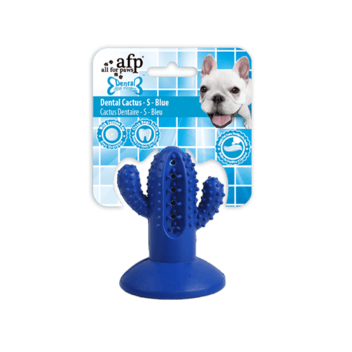 Juguete en forma de cactus