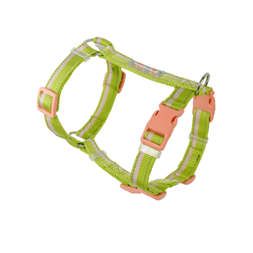 ARNÉS VERDE FOREST S