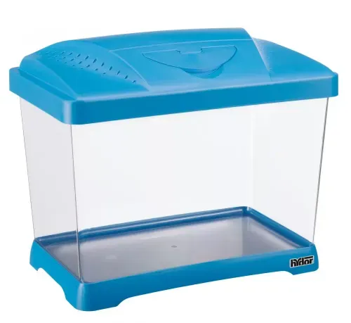 ACUARIO Y TERRARIO COLORES SURTIDOS