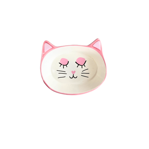 PLATO ROSA PARA GATO