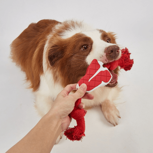 JUGUETE DENTAL CON FORMA DE CHULETA