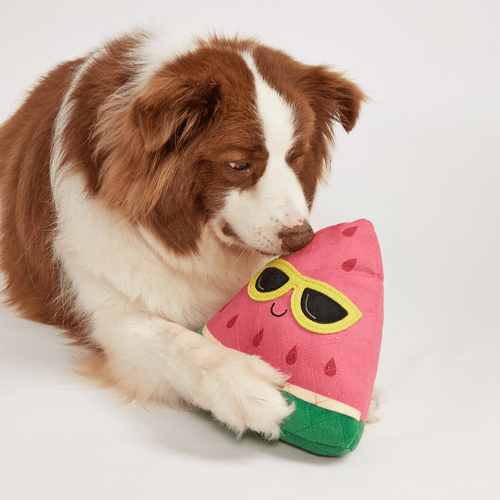 JUGUETE INTERACTIVO EN FORMA DE SANDIA